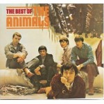 Best Of / by Amazon