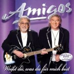 amigos amigos